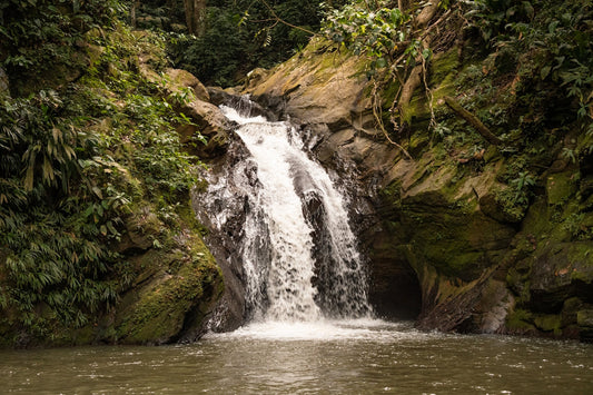 a small waterfall in the middle of a forest