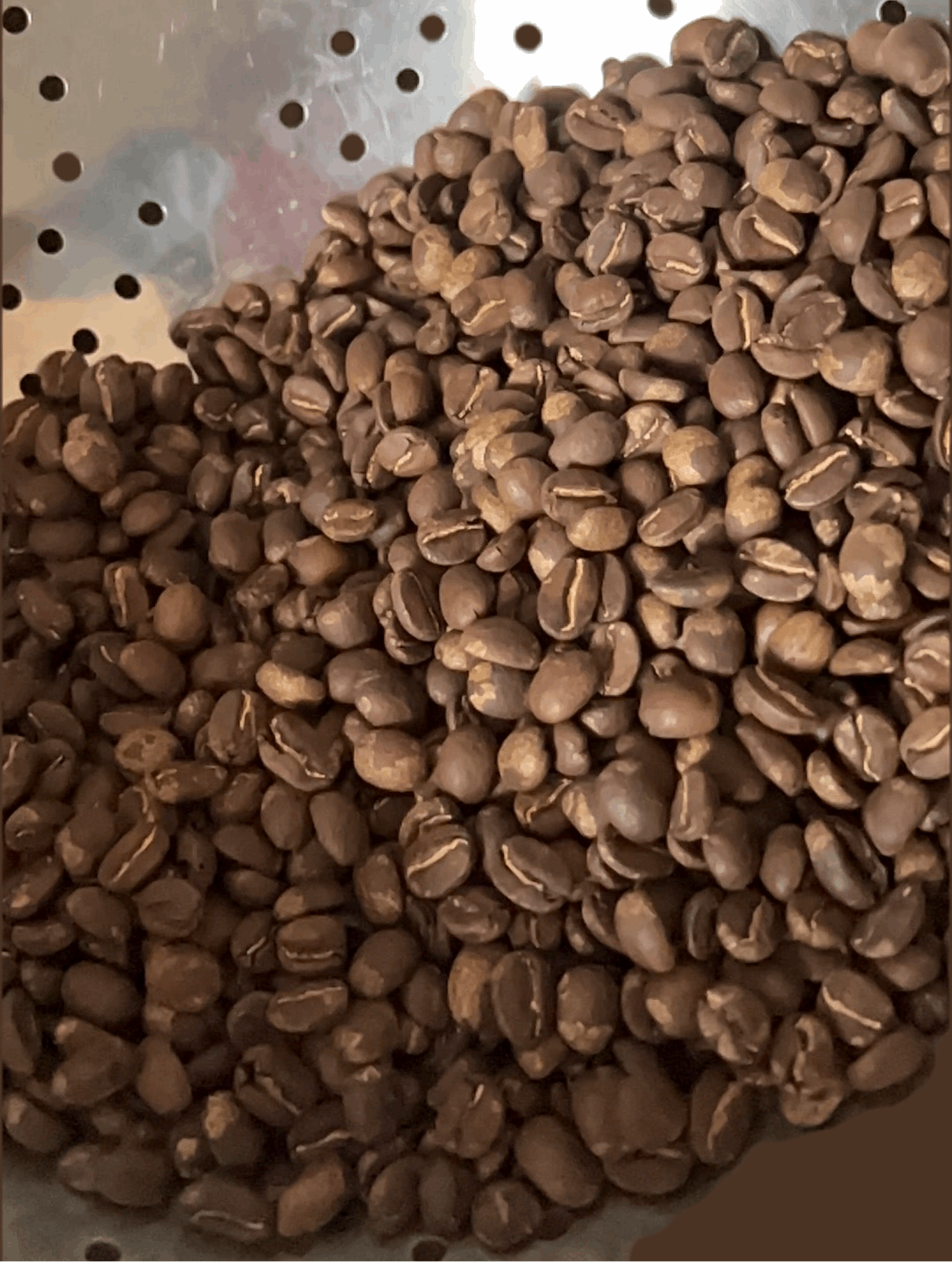 mulled wine coffee blend