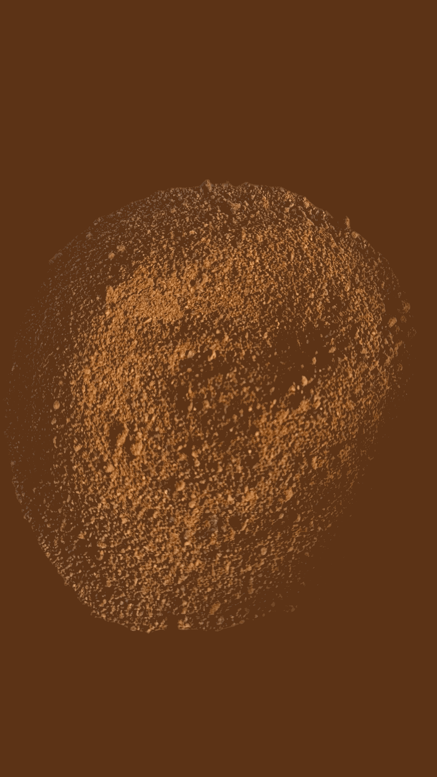 Tanzanian coffee ground