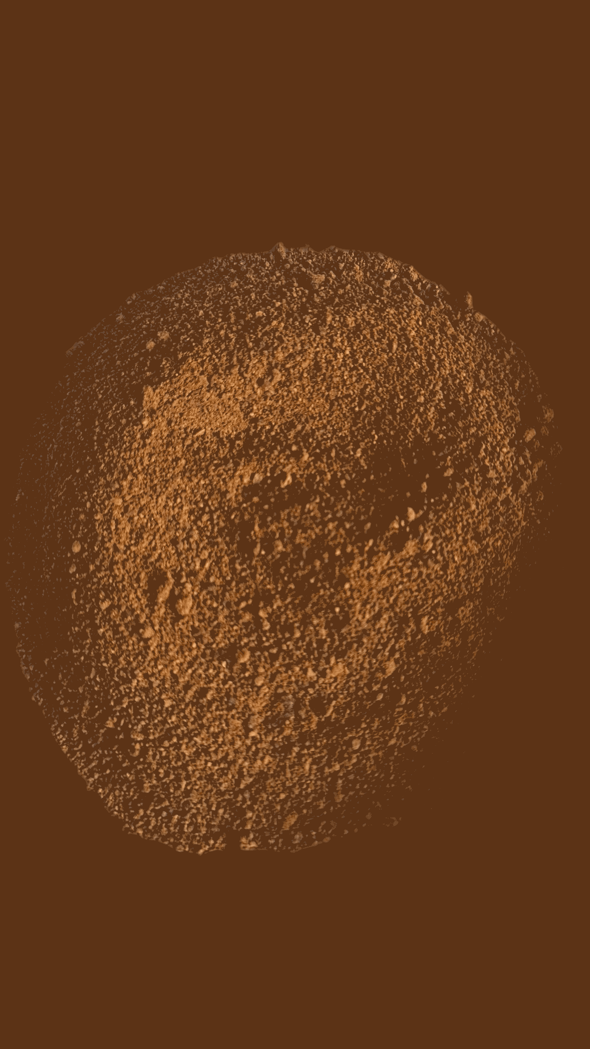 Tanzanian coffee ground