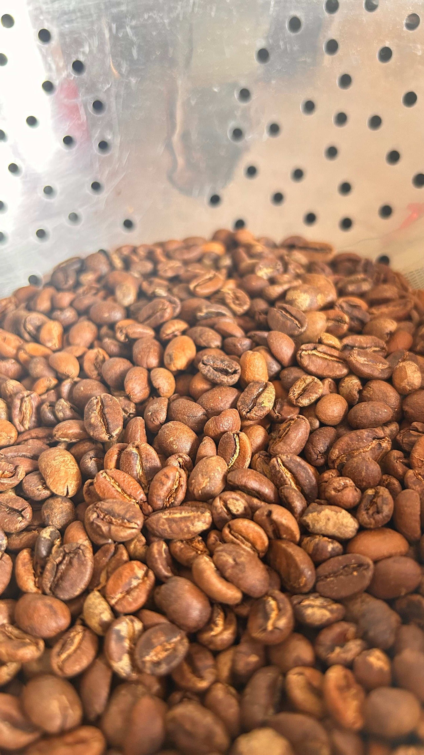 Pink rose ground blend